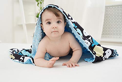 4 Soft+Minky+Baby+Blanket+Receiving
