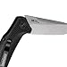 Kershaw Link Tanto Folding Pocket Knife (1776T) with SpeedSafe Assisted Opening, 3.25 Inch 420HC Stainless Steel Blade, Including Liner Lock, Flipper and Reversible Clip; 4 oz.