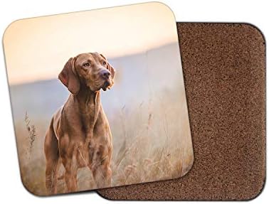 Amazon Co Jp ハンガリーのポインターコースター ショートヘアード ハンガリアン ビズラ犬子犬ブリーダーハンガリーかわいいギフト ホーム キッチン