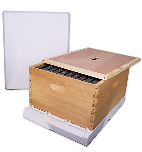 10 Frame Full Hive Kit - Deep With Plastic Frames - Premium Top Cover and Bottom Board