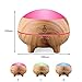 Essential Oil Diffuser Humidifier with Bluetooth Speaker Pure Aromatherapy LED Lights Wood Grain Color Pro Aroma Kit Diffuser- 300ml Cold Water Vent Aroma Diffuser Oil for Home, Kids, Men, Women, Spa