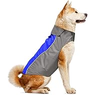 Vizpet Dog Jacket and Reflective Dog Coat Sport Vest, Warm and Comfortable Clothes - 6 for Small Medium Large Dogs (Blue-L)