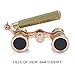 Uarter Opera Glasses Theater Vintage Binoculars With Handle Champagne with Gold Trim 3X25