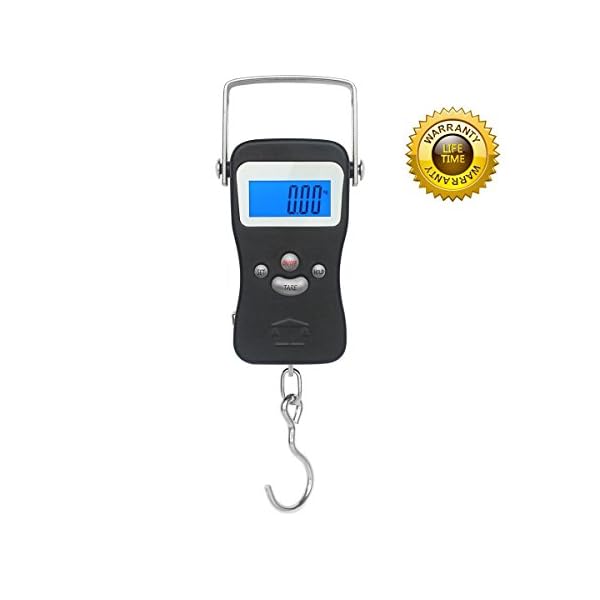 Postal-Hanging-Hook-Digital-LED-Fishing-Scale-Next-shine-110-x-001LB-50-x-001kg-Electronic-Balance-Weigh-Scale-with-Measuring-Tape-Included-2-CR2032-Batteries