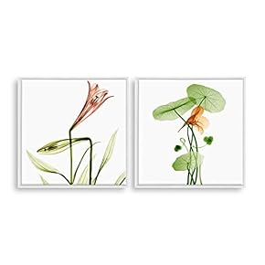 2 Piece Framed Canvas Home Artwork Decoration Transparent Flower Canvas Wall Art for Living Room, Bedroom - 16"x16"x2 Panels
