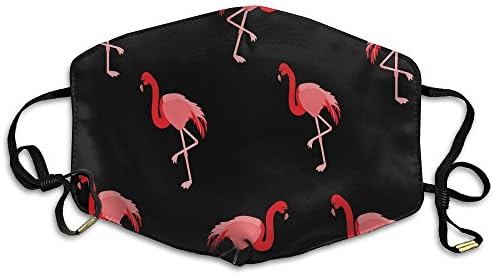 AlioaI Flamingo Cute Unisex Dust Allergy Flu Masks Washable Activated Carbon Breath Healthy Safety Mouth Masks