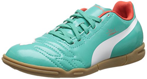 puma evopower indoor