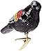 Old World Christmas Glass Blown Ornament Red-Winged Blackbird (18132)