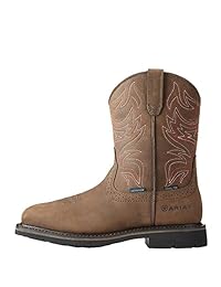 ARIAT Men's MNS Sierra Delta H2o St Oily Dstrsd BRN Construction Boot