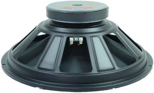 15 inch raw speakers