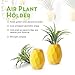 AIEVE Air Plant Holder, 3 Pack Air Plant Hanger Air Plant Stand Pineapple Planter Tillandsia Holder Tabletop Display Geometric Planter with Magnet for Hanging Air Plants Indoor Wall Decor, Large