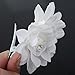 AKOAK Hair Clip, New Beauty Women's Bridal Wedding Rhinestone Orchid Hair Clip Barrette, Women Accessories (1Pcs, White)