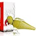 Epic Hand Parrot Glass Smoking Device 5.5 inch Lime Yellow