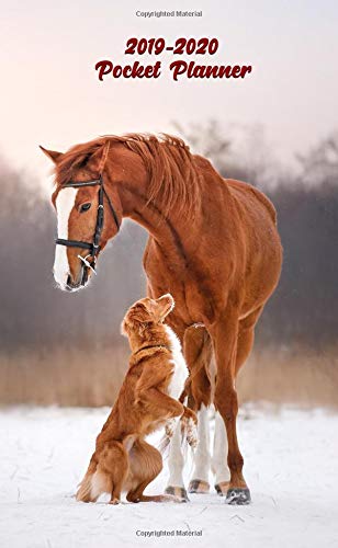 2019-2020 Pocket Planner: Nifty Horse