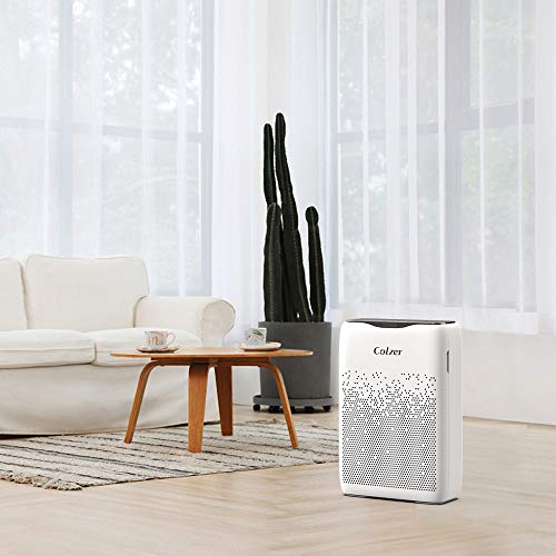 COLZER Air Purifier with True HEPA Air Filter, Air Purifier for Large Room, for Spaces Up to 650 Sq Ft, Perfect for Home/Office with Filter (EPI-186)