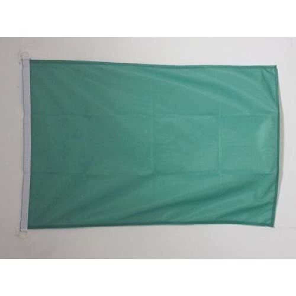 AZ FLAG - Plain Green Flag - 2x3 Ft - For Outdoor - Green Solid color Banner Knitted Polyester with Two Plastic Rings - Fade Resistant - Vivid Colors - 2' x 3' Feet - 90x60 Cm