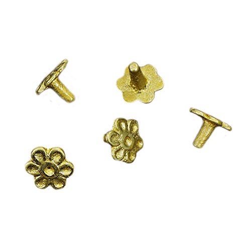 Brass Medieval Rosette Studs / Conchos - Set of 5