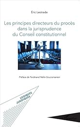 Les  principes directeurs du procès dans la jurisprudence du Conseil constitutionnel