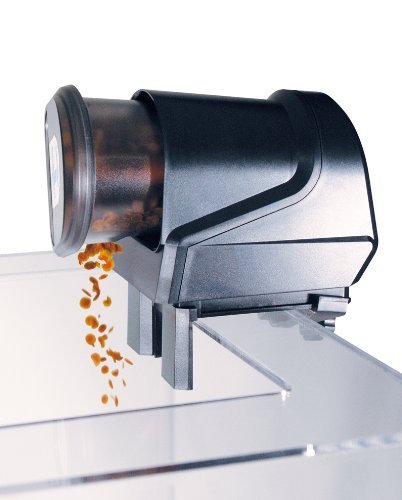 Amazon Com Intellifeed Fish Feeder By Intellifeed Aquarium Fish