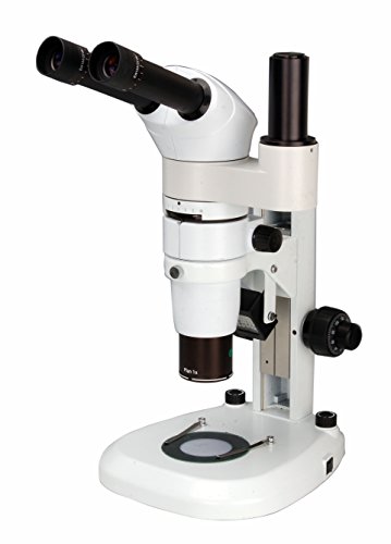 BestScope BS-3060CT Trinocular Magnification Illumination