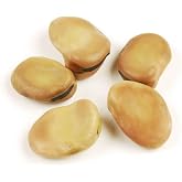 Fava Beans, 10 lb &ndash; Dried Broad Beans for Mediterranean, Middle Eastern &amp; Global Cooking &ndash; Meaty Texture, High Protein Bulk Beans by Woodland Gourmet