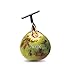S STORD Coconut Opener for Fresh Green Young Coconut Water - Works With Peeled Thai Young White Coconuts - Open in Seconds Super Safe Easy and Fast