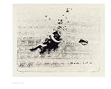 Image de David Lynch: Lithos