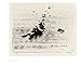 David Lynch: Lithos