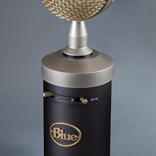Blue-Microphones-Baby-Bottle-SL-Large-Diaphragm-Condenser-Microphone