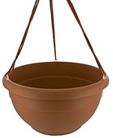 multi plant stand indoor Arden - Modern Iron Tree Multi Level Planter Display
