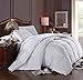 Royal Hotel Bedding 300 Thread Count Queen Size Down-Alternative Comforter, Overfilled Comforter, Duvet Insert 100% Cotton Shell - 100% Down-Alternative Fill, 750FP - 70OZ - White Solid, Queen