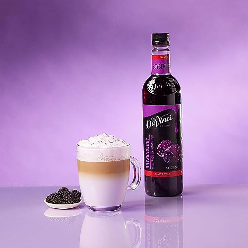 DAVINCI GOURMET BOYSENBERRY SYRUP, 25.4 FLUID OUNCES (PACK OF 1)
