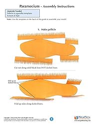 NewPath Paramecium 3-D Model Making Kit