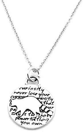 Kevin N Anna Raccoon (Curiosity quote) Sterling Silver Small Pendant Necklace