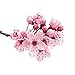 Piping Rock Japanese Cherry Blossom Fragrance Oil 15 mL/0.51 fl. oz. Dropper Bottle