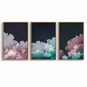 signwin 3 Piece Framed Canvas Wall Art Pink...