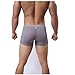 ALT 2017 Men 's Underwear Sexy Temptation Separation Ice Silk Translucent JJ Sets (Large, Grey)