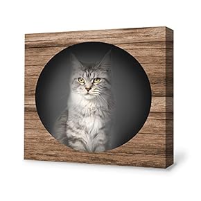 SIGNFORD Canvas Wall Art Grey Cat Canvas Painting...