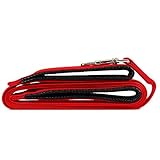 Petroad Dog Leash-- 8 Feet Dog Training Leash with 2 Padded Handles, Red
