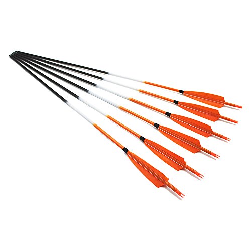 [6 Pack] ARCHERY SHARLY 31" Carbon Archery Practice Arrows 5" Orange Turkey Feather Fletching for Targeting Hunting Recurve & Long Bow - Thumbnail 2