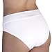 Carole Martin Wide Waist Band Comfort Panty Brief