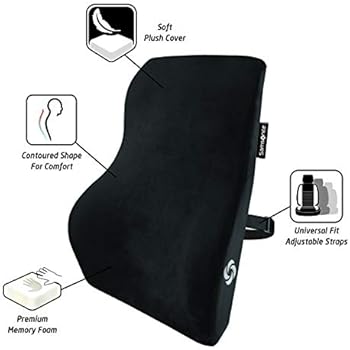 samsonite lumbar support costco