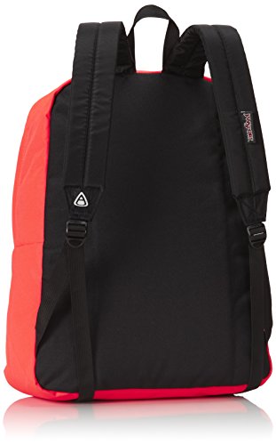 jansport backpack for middle school JanSport Big Student Backpack