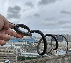 Realistic Rubber Snake 2Pcs, Scary Fake Snake Large