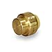 Everflow Supplies Pushlock Push-Fit Stop End UPSE34 3/4 Inch, Instant Push-Fit Connection Connects Copper Tubing, CTS CPVC & PEX Pipe in any Combination Compact, Brass Body Foundation