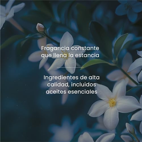 Yankee Candle Difusor de varillas | Noche de verano | Para espacios pequeños y medianos | Hasta 10 semanas de fragancia