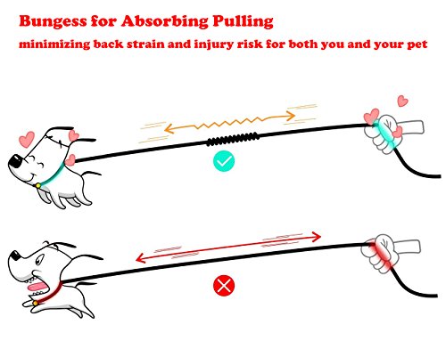 4 Training+Comfortable+Absorbing+Reflective+dispenser