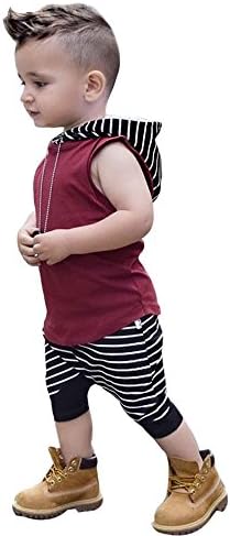 GOGOBO Toddler Kids Baby Boy Sleeveless Hooded Vest Tops+Shorts Pants 2pcs Outfits Clothes Set (2T, Red)