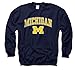 Michigan Wolverines Arch with Logo Crewneck