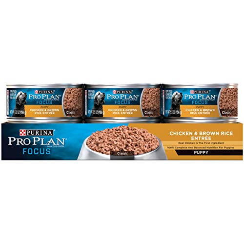 Purina Pro Plan Pate Wet Puppy Food, FOCUS Classic Chicken & Brown Rice Entree - (24) 5.5 oz. Cans - //medicalbooks.filipinodoctors.org